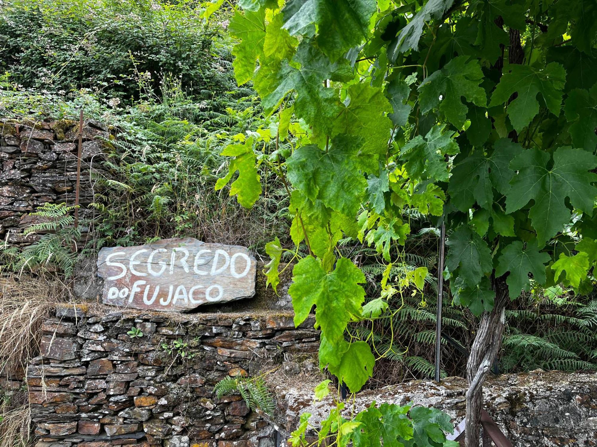 O Segredo Do Fujaco Villa São Pedro do Sul Eksteriør bilde